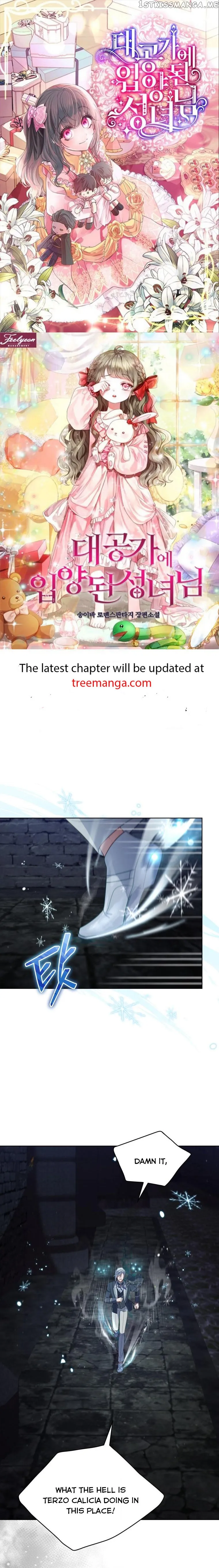 Untouchable Lady Chapter 96 Online - página 1