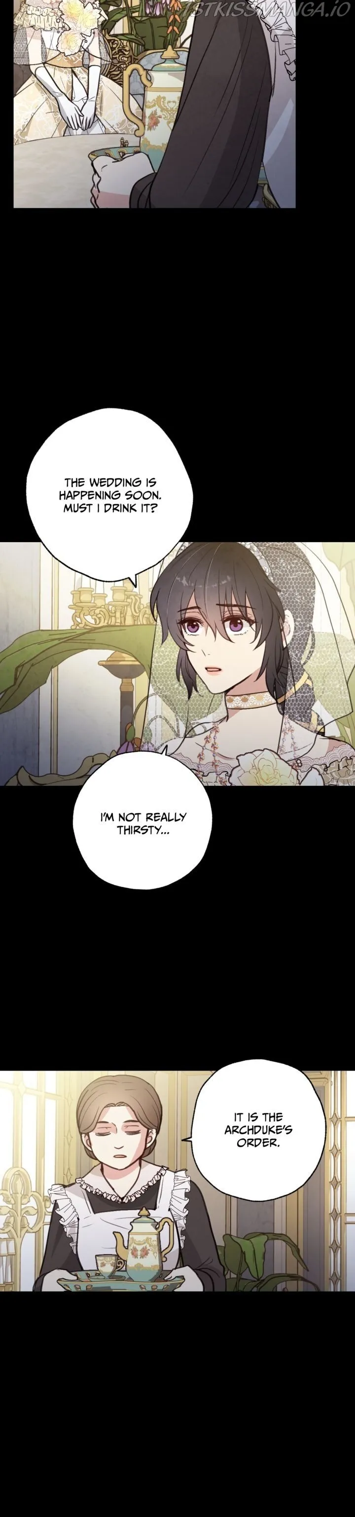 Valentine Kiss Chapter 89 Online - página 25