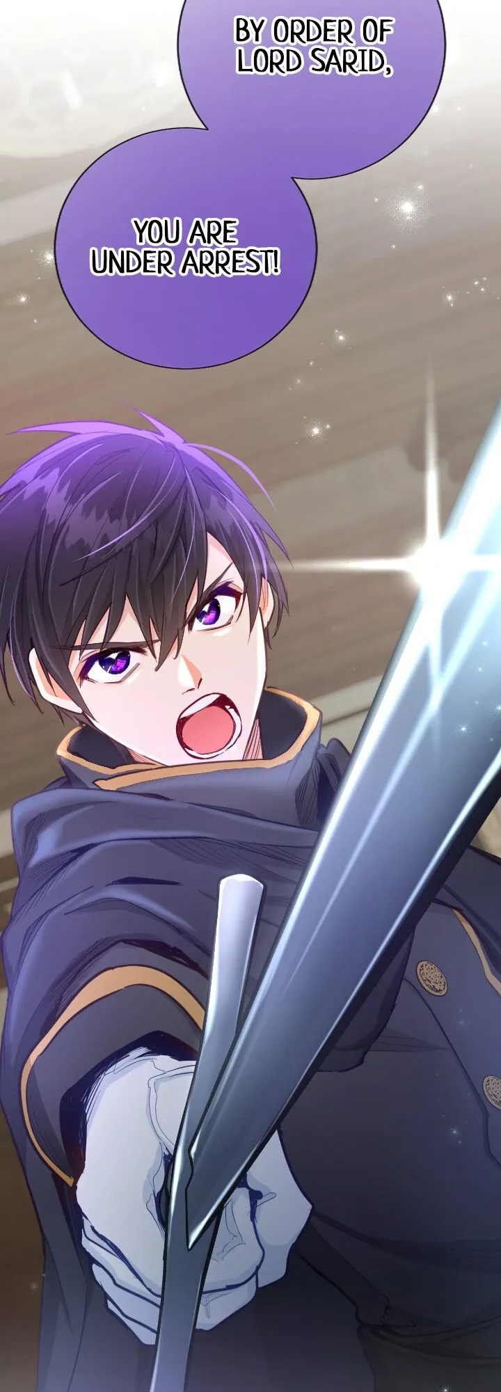 Vengeance from a Saint Full of Wounds Chapter 115 Online - página 9
