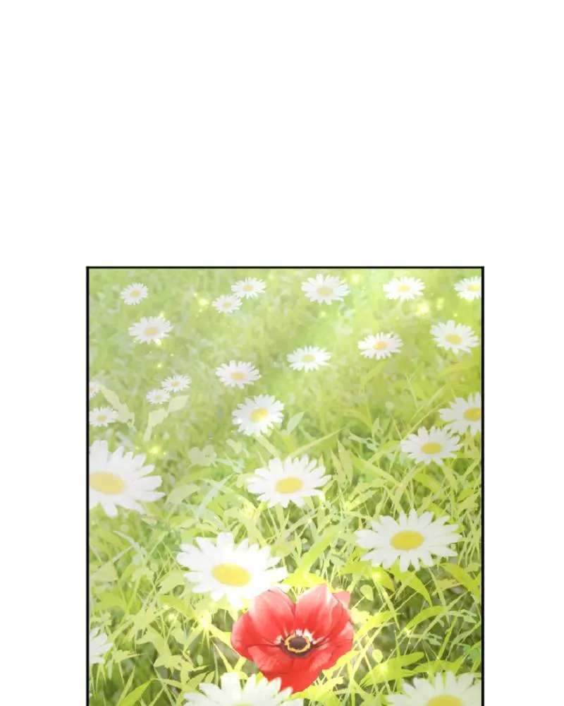 Vengeance from a Saint Full of Wounds Chapter 134 Online - página 32