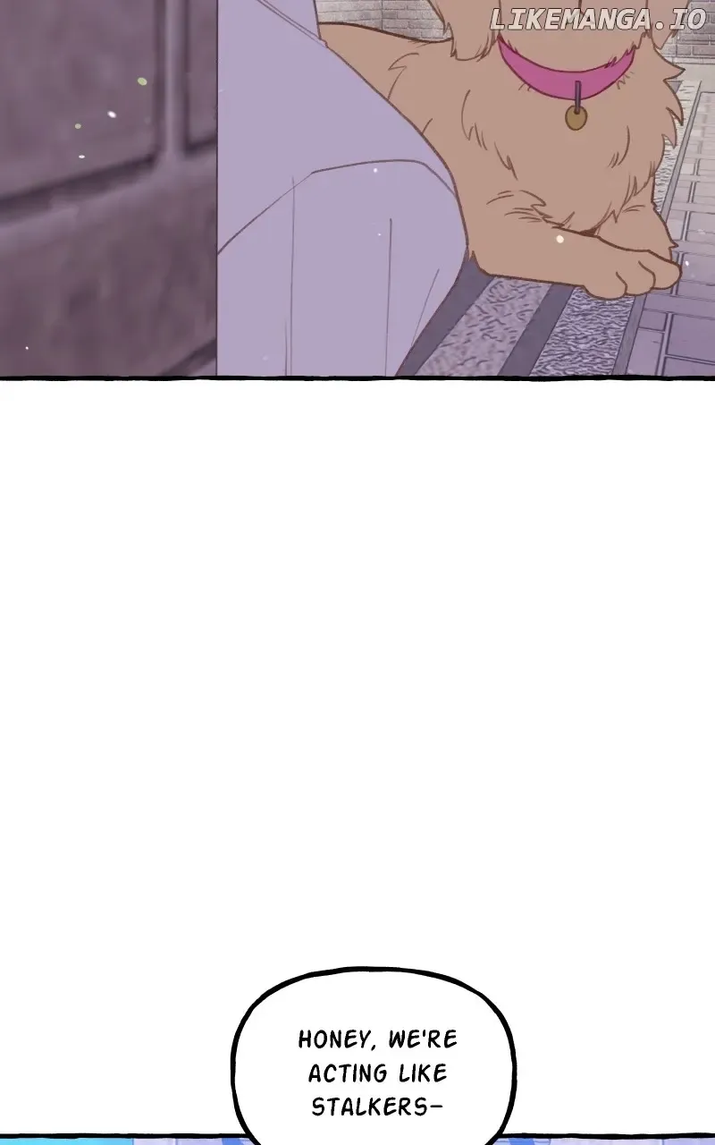 Wanna be Friends? Chapter 39 Online - página 62