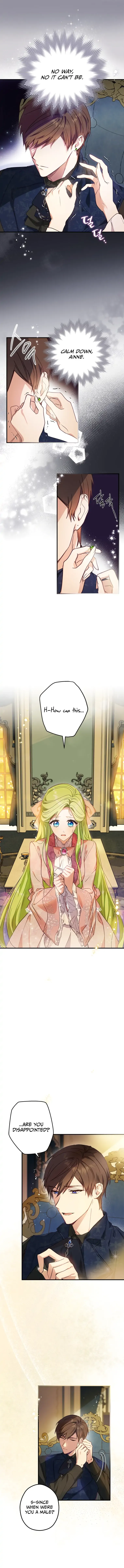 Wasn’t the Male Lead a Female? Chapter 1 Online - página 3