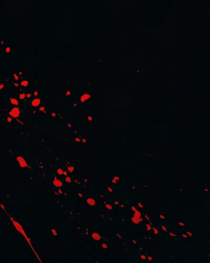 Watermelon Chapter 94 Online - pƔgina 12