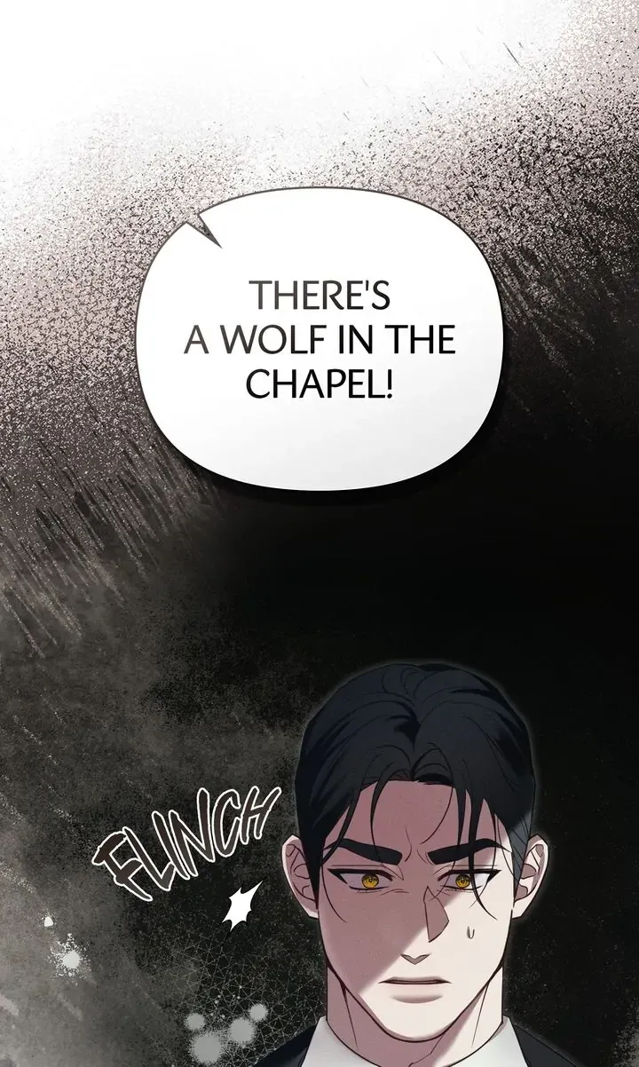 Werewolves Going Crazy over Me Chapter 39 Online - página 14
