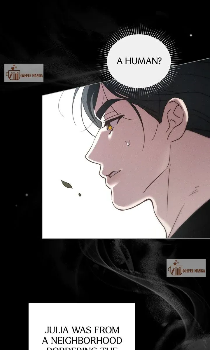 Werewolves Going Crazy over Me Chapter 46 Online - página 37