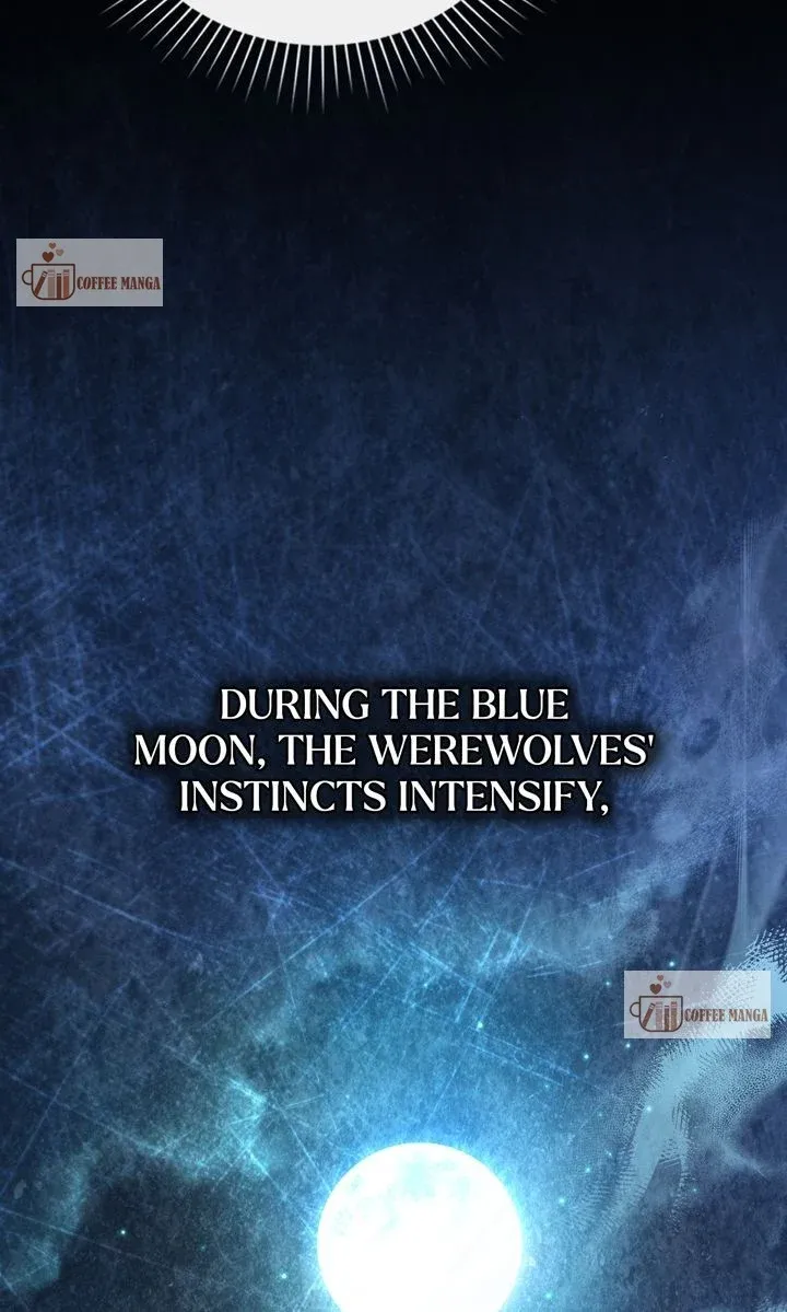 Werewolves Going Crazy over Me Chapter 46 Online - página 46