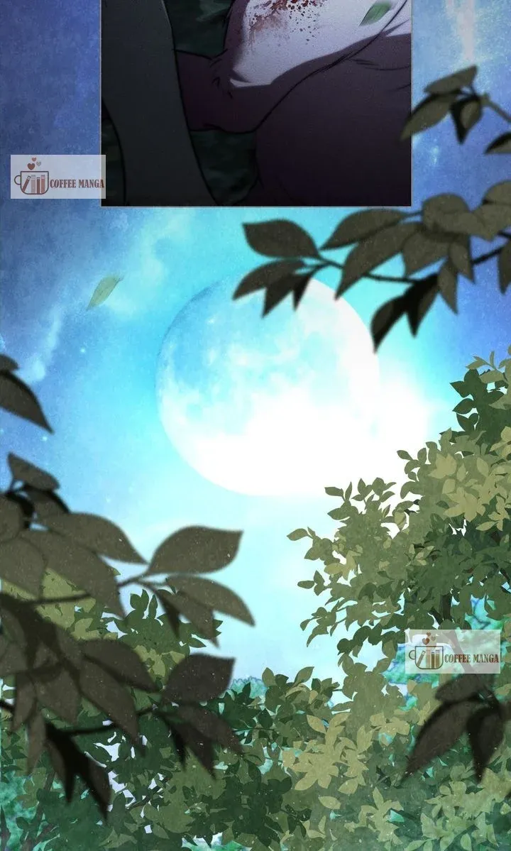 Werewolves Going Crazy over Me Chapter 46 Online - página 89