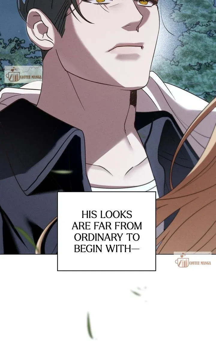Werewolves Going Crazy over Me Chapter 48 Online - página 17