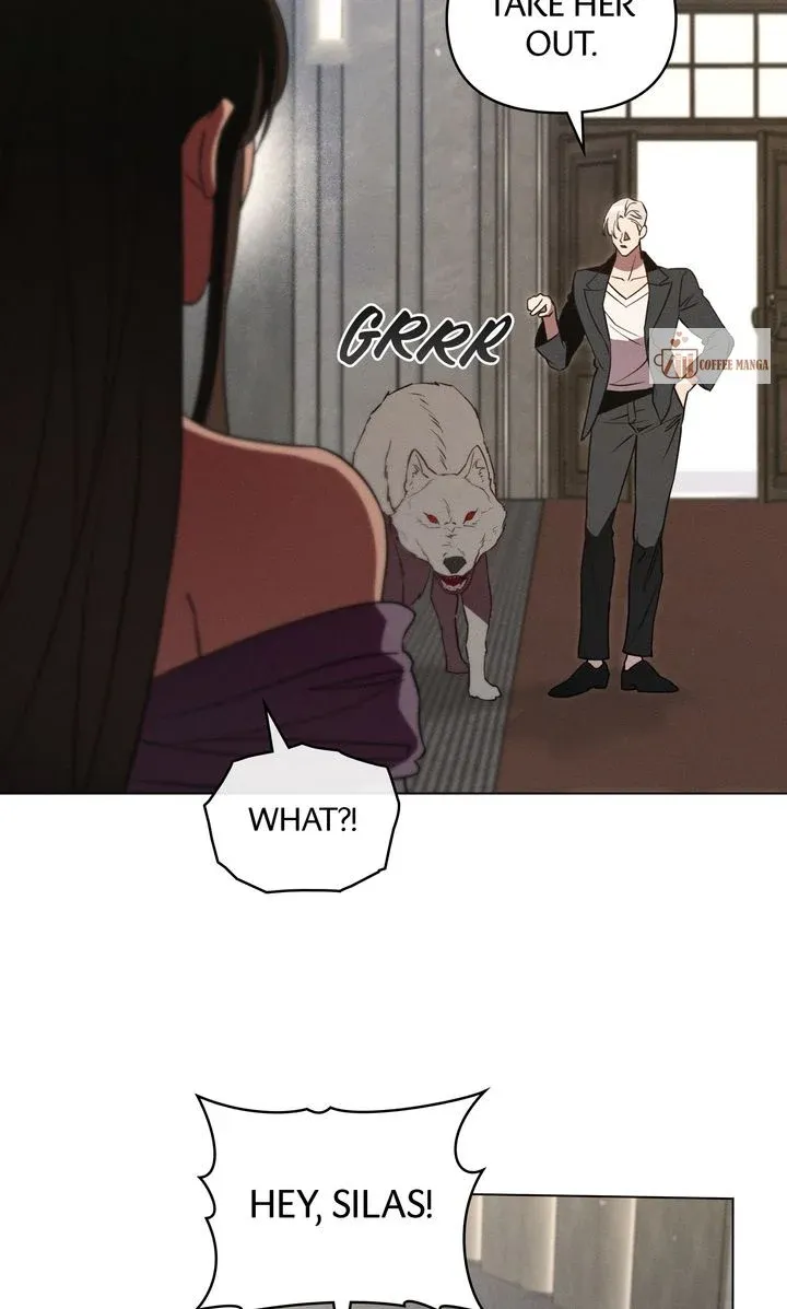 Werewolves Going Crazy over Me Chapter 54 Online - página 5