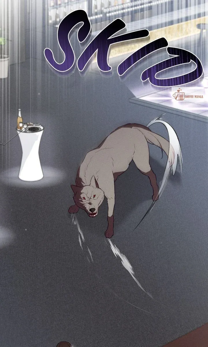 Werewolves Going Crazy over Me Chapter 54 Online - página 11