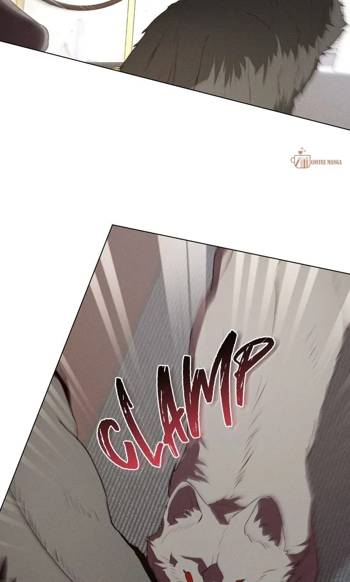 Werewolves Going Crazy over Me Chapter 54 Online - página 47