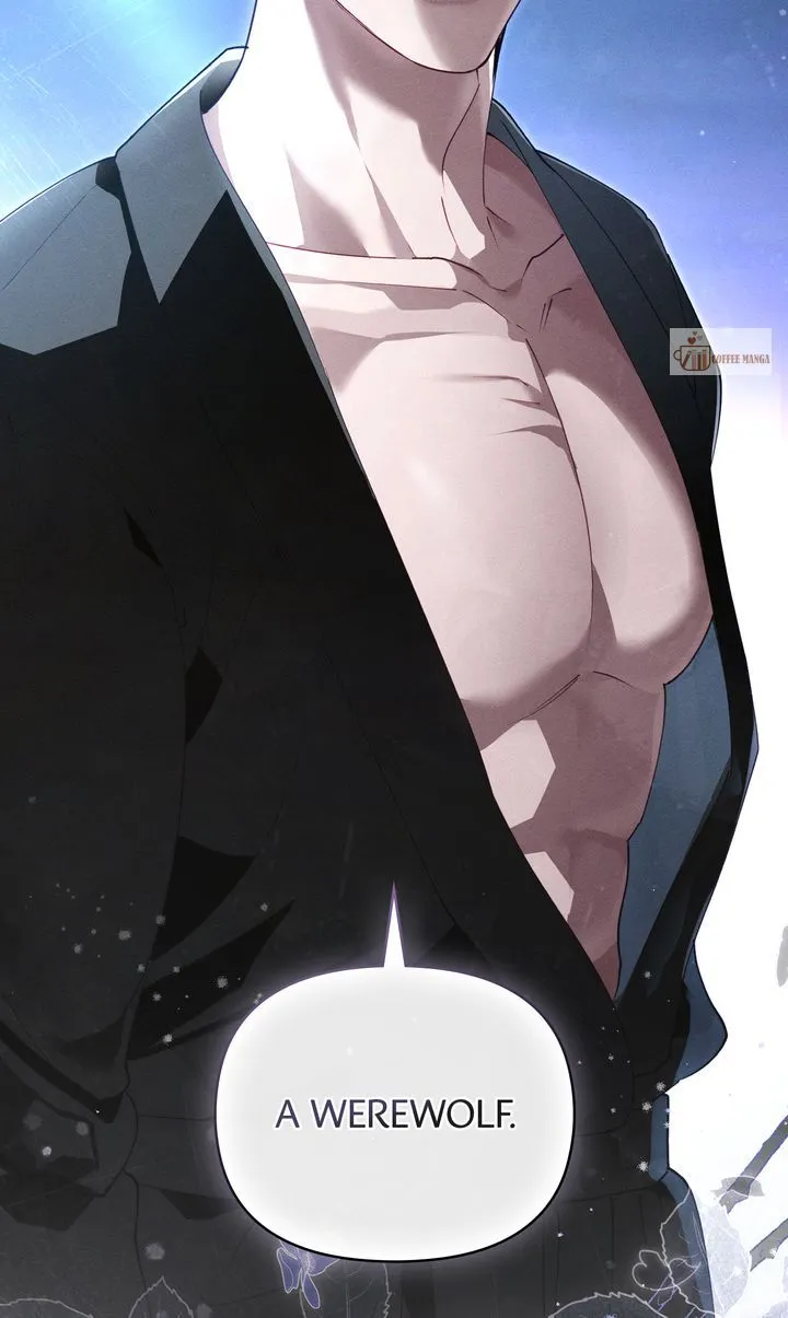 Werewolves Going Crazy over Me Chapter 57 Online - página 2
