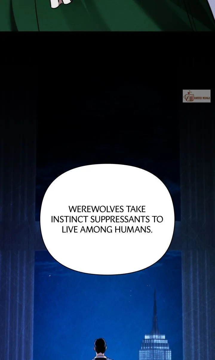Werewolves Going Crazy over Me Chapter 57 Online - página 45