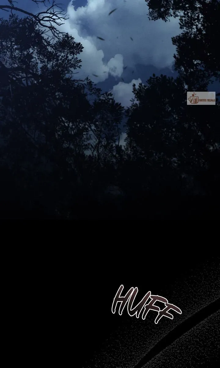 Werewolves Going Crazy over Me Chapter 61 Online - página 19