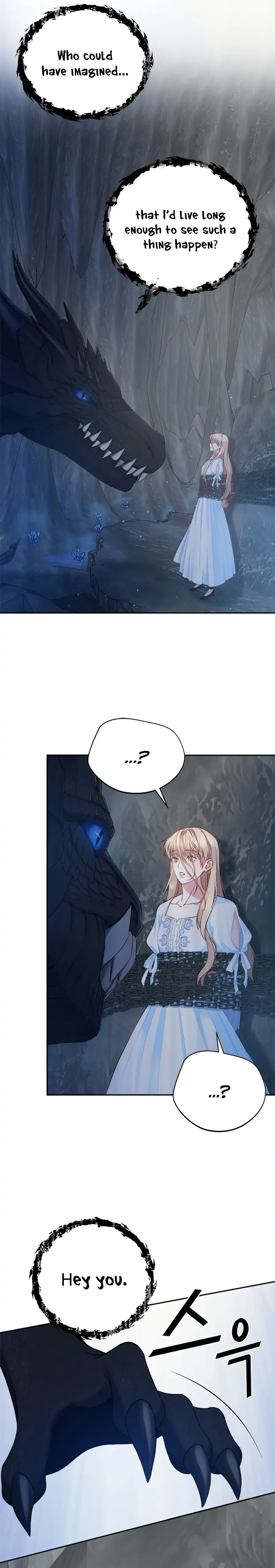 What Does That Evil Dragon Live For? Chapter 1 Online - página 11