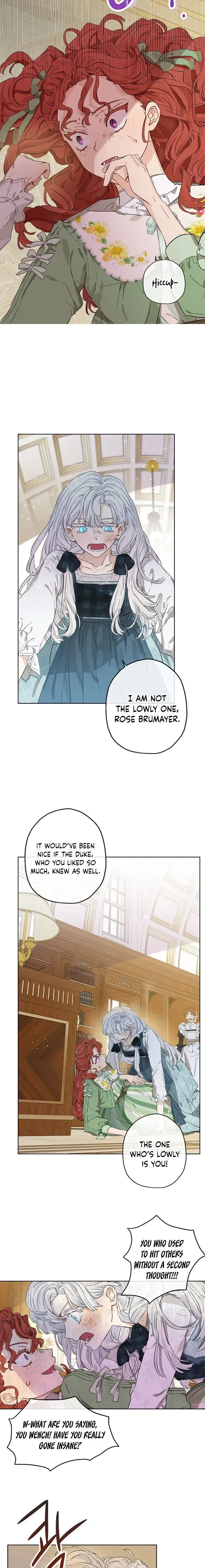 When The Count’s Illegitimate Daughter Gets Married Chapter 1 Online - página 9