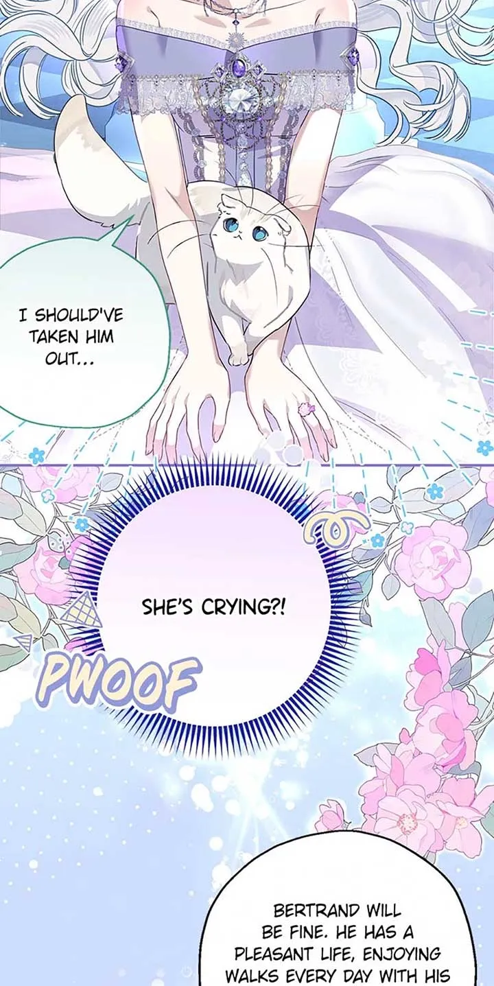 When The Count’s Illegitimate Daughter Gets Married Chapter 102 Online - página 67