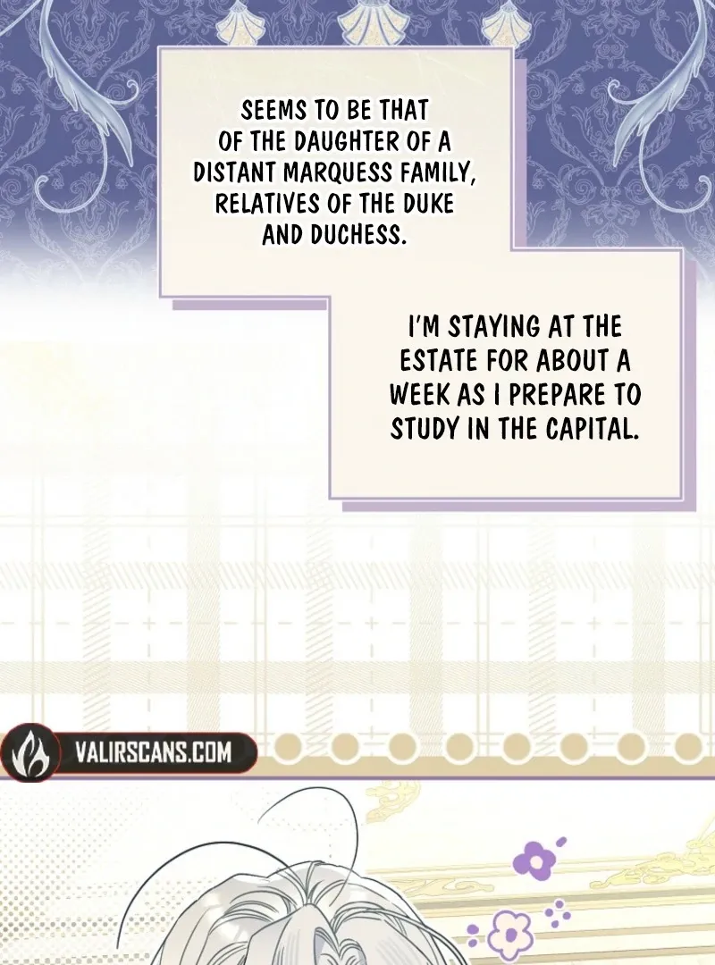 When The Count’s Illegitimate Daughter Gets Married Chapter 116 Online - página 20