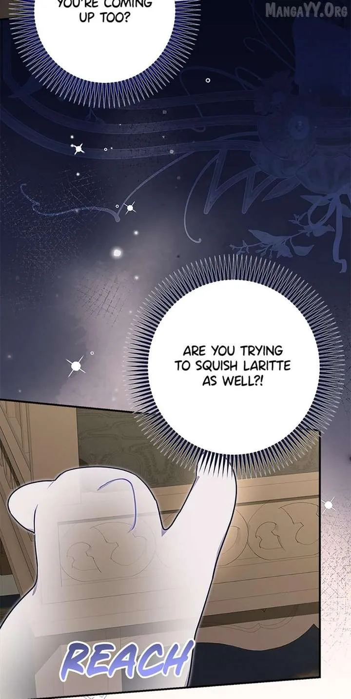 When The Count’s Illegitimate Daughter Gets Married Chapter 117 Online - página 4