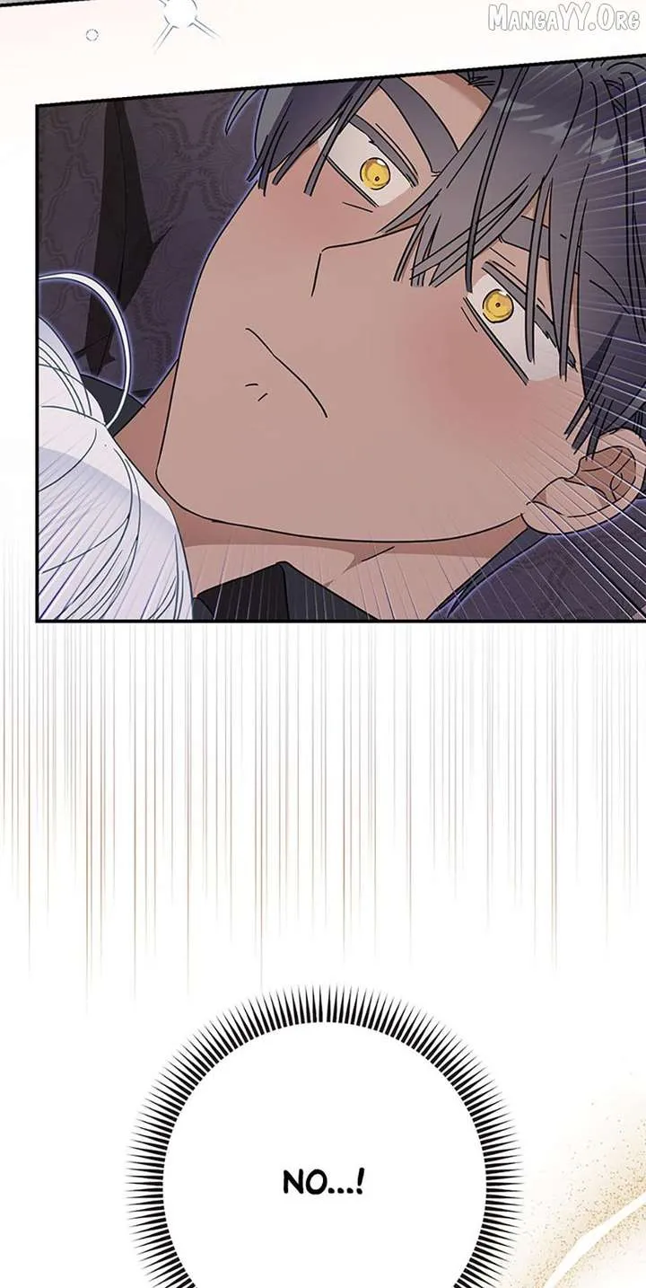 When The Count’s Illegitimate Daughter Gets Married Chapter 117 Online - página 5