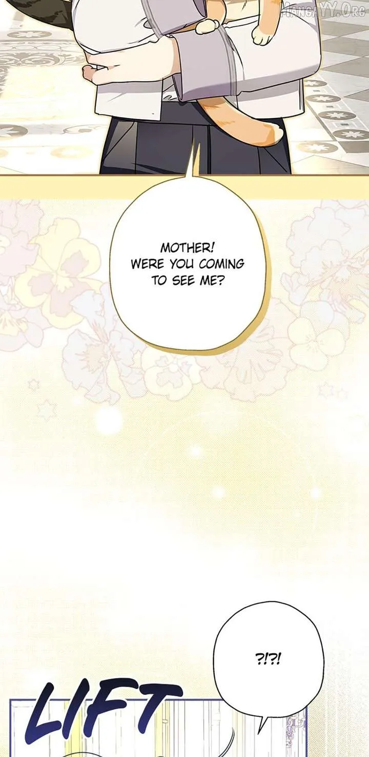 When The Count’s Illegitimate Daughter Gets Married Chapter 117 Online - página 72