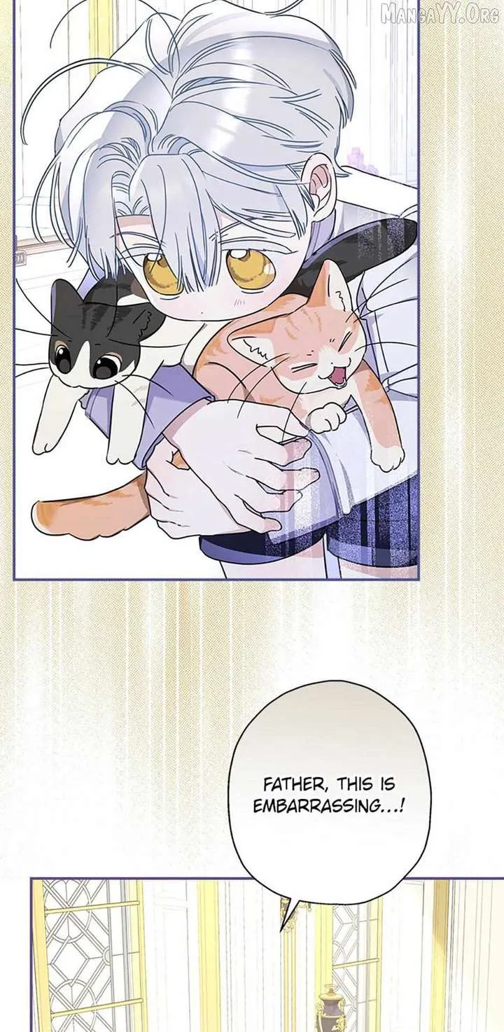 When The Count’s Illegitimate Daughter Gets Married Chapter 117 Online - página 73