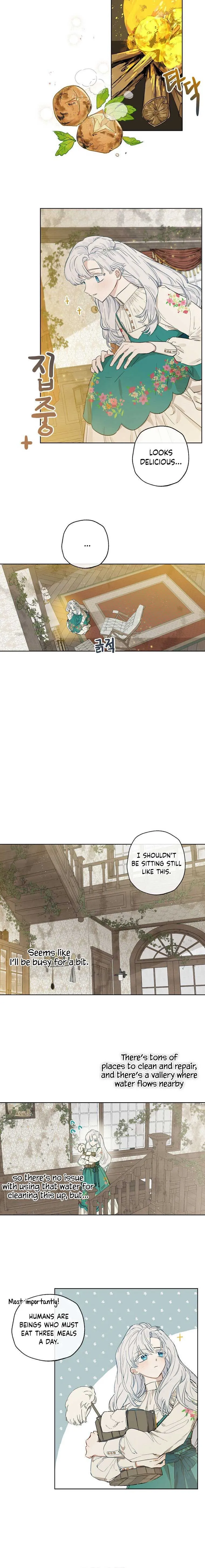 When The Count’s Illegitimate Daughter Gets Married Chapter 2 Online - página 19