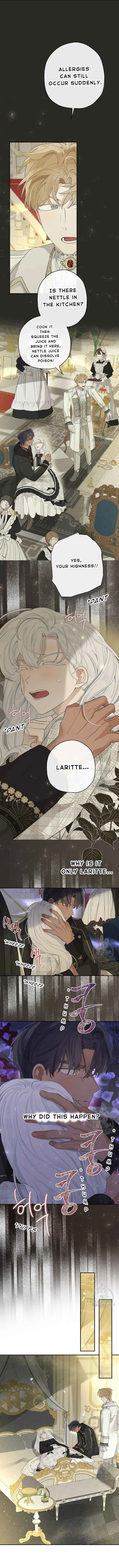 When The Count’s Illegitimate Daughter Gets Married Chapter 64 Online - página 7