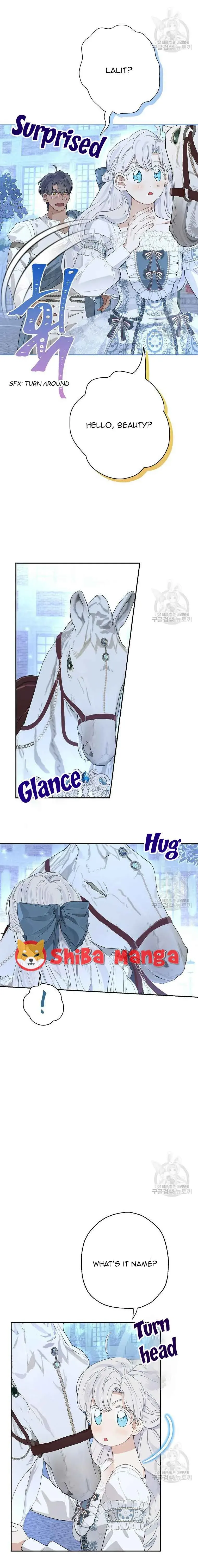 When The Count’s Illegitimate Daughter Gets Married Chapter 67 Online - página 8