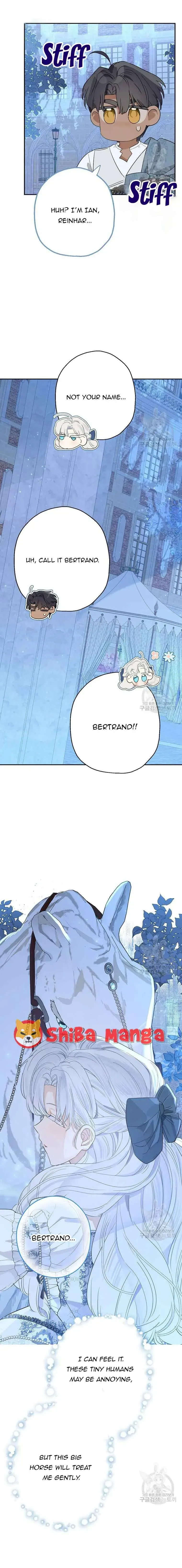 When The Count’s Illegitimate Daughter Gets Married Chapter 67 Online - página 9