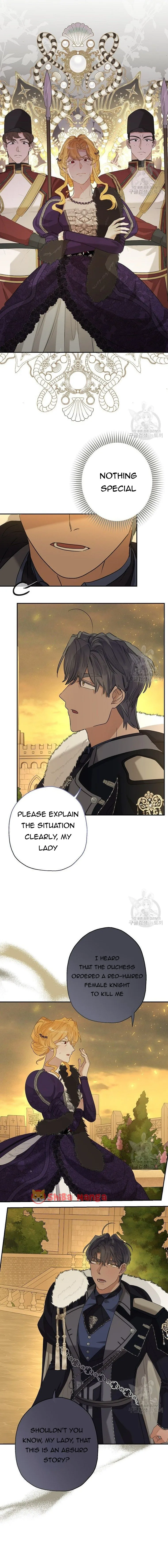 When The Count’s Illegitimate Daughter Gets Married Chapter 77 Online - página 8