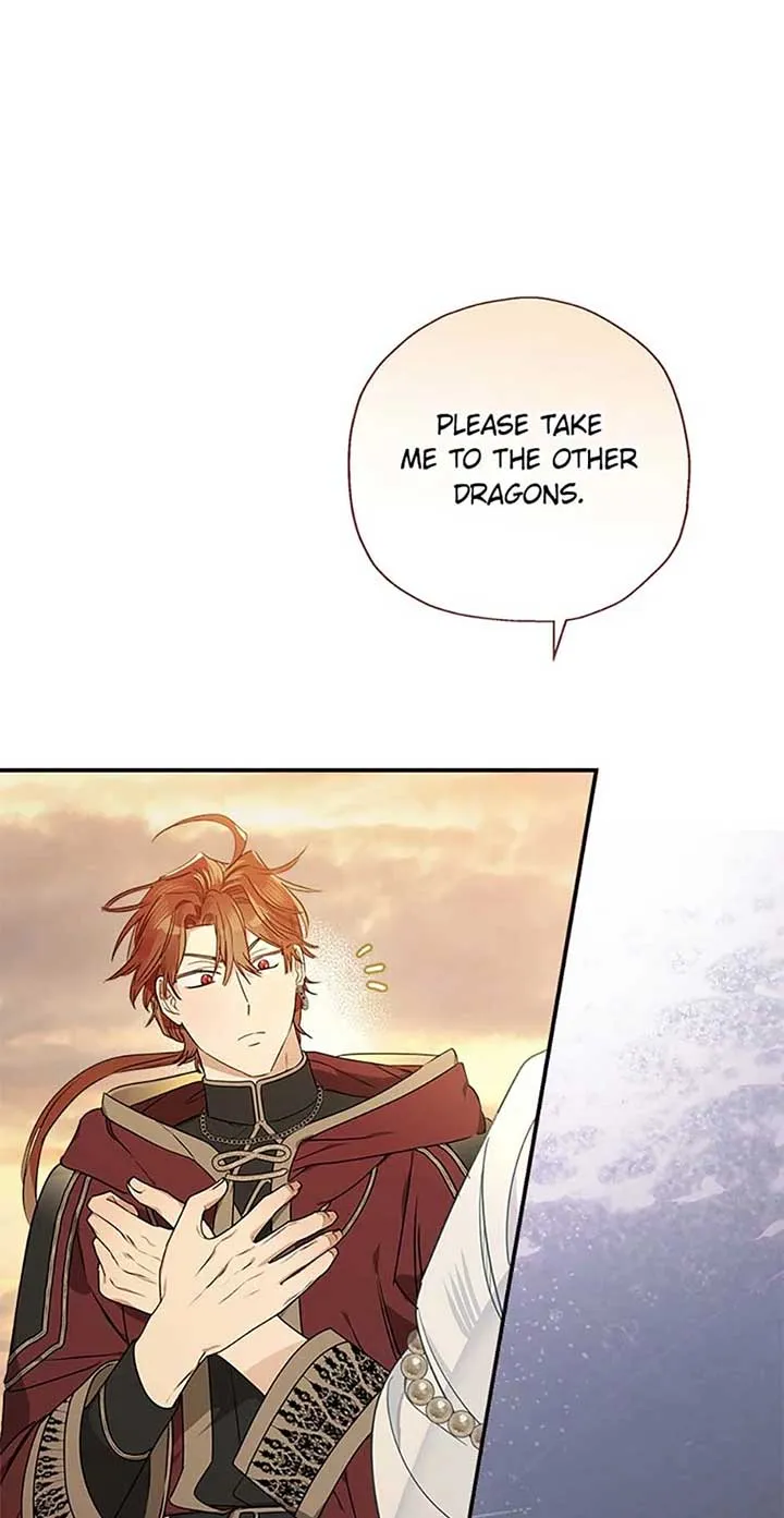 When The Count’s Illegitimate Daughter Gets Married Chapter 93 Online - página 29