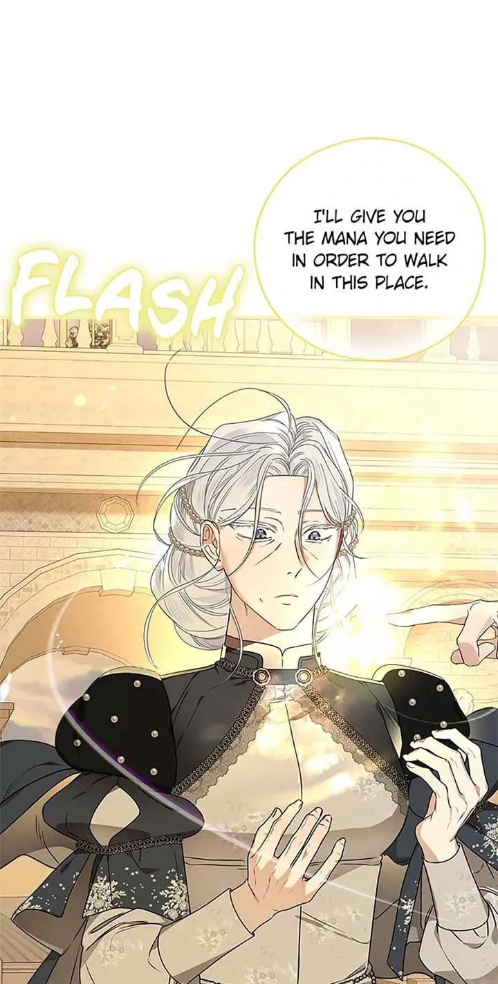 When The Count’s Illegitimate Daughter Gets Married Chapter 93 Online - página 42