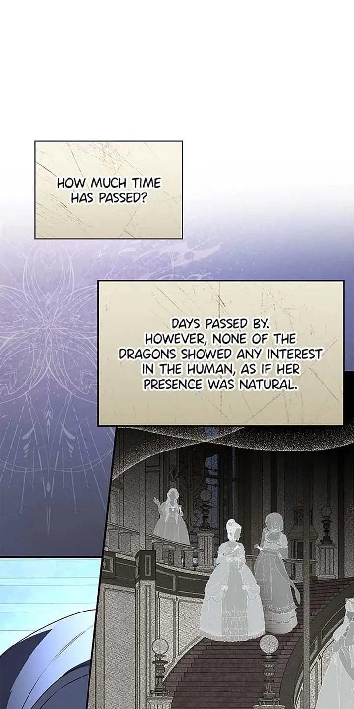 When The Count’s Illegitimate Daughter Gets Married Chapter 94 Online - página 12