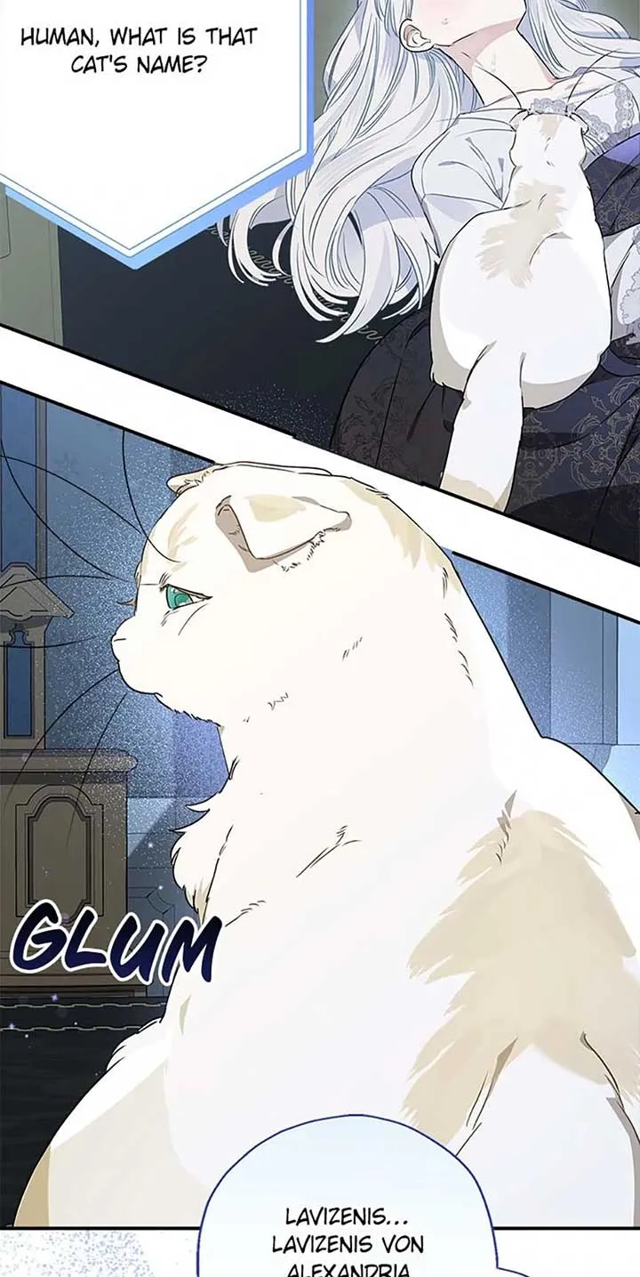 When The Count’s Illegitimate Daughter Gets Married Chapter 94 Online - página 38