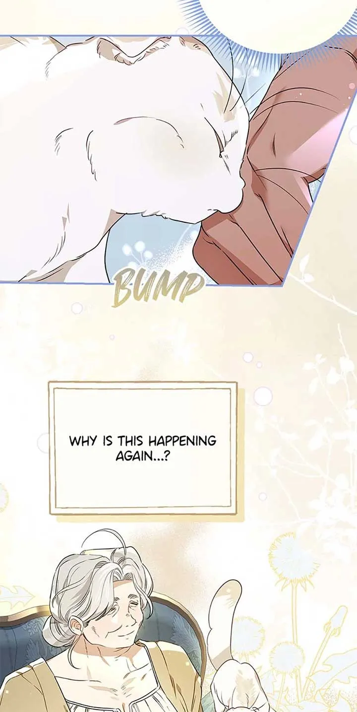 When The Count’s Illegitimate Daughter Gets Married Chapter 94 Online - página 43