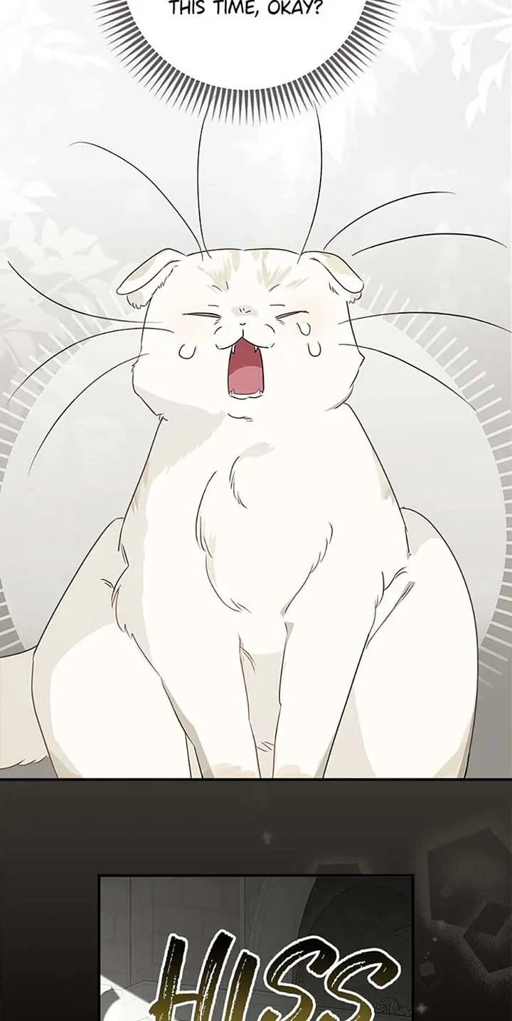 When The Count’s Illegitimate Daughter Gets Married Chapter 94 Online - página 51