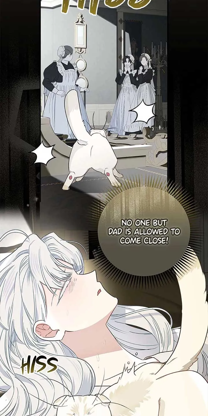 When The Count’s Illegitimate Daughter Gets Married Chapter 94 Online - página 52
