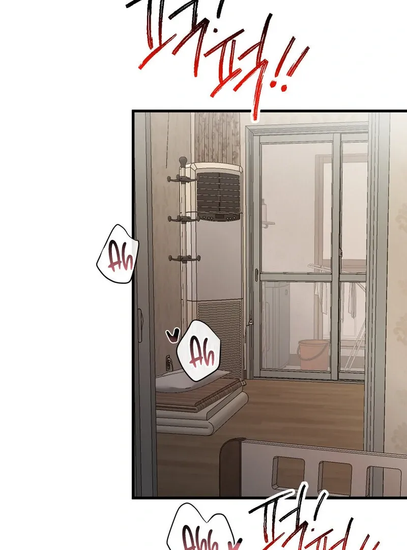 Where the Heart Is Chapter 64 Online - página 3