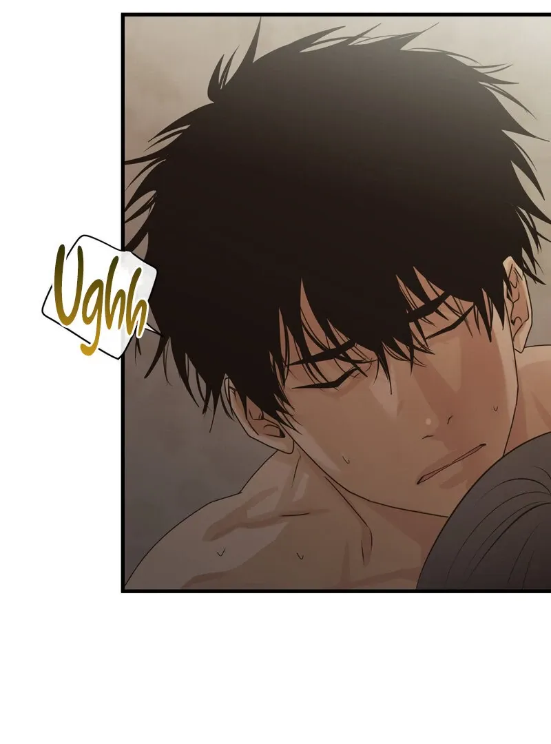 Where the Heart Is Chapter 64 Online - página 21