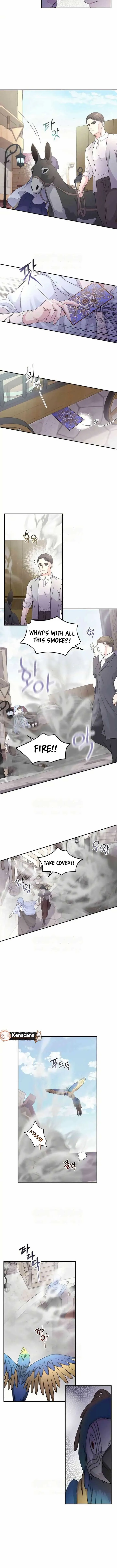 Which Wizard Will Kill Me Chapter 35 Online - página 9