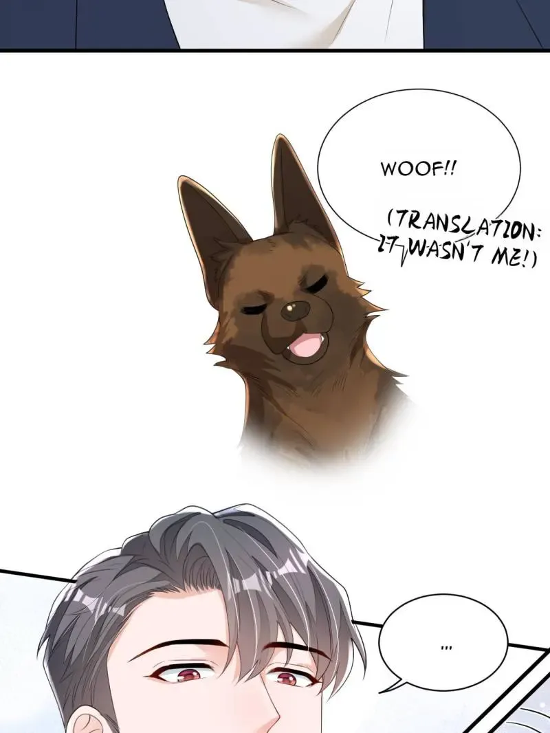 Whispers of the Devil Chapter 167 Online - página 13