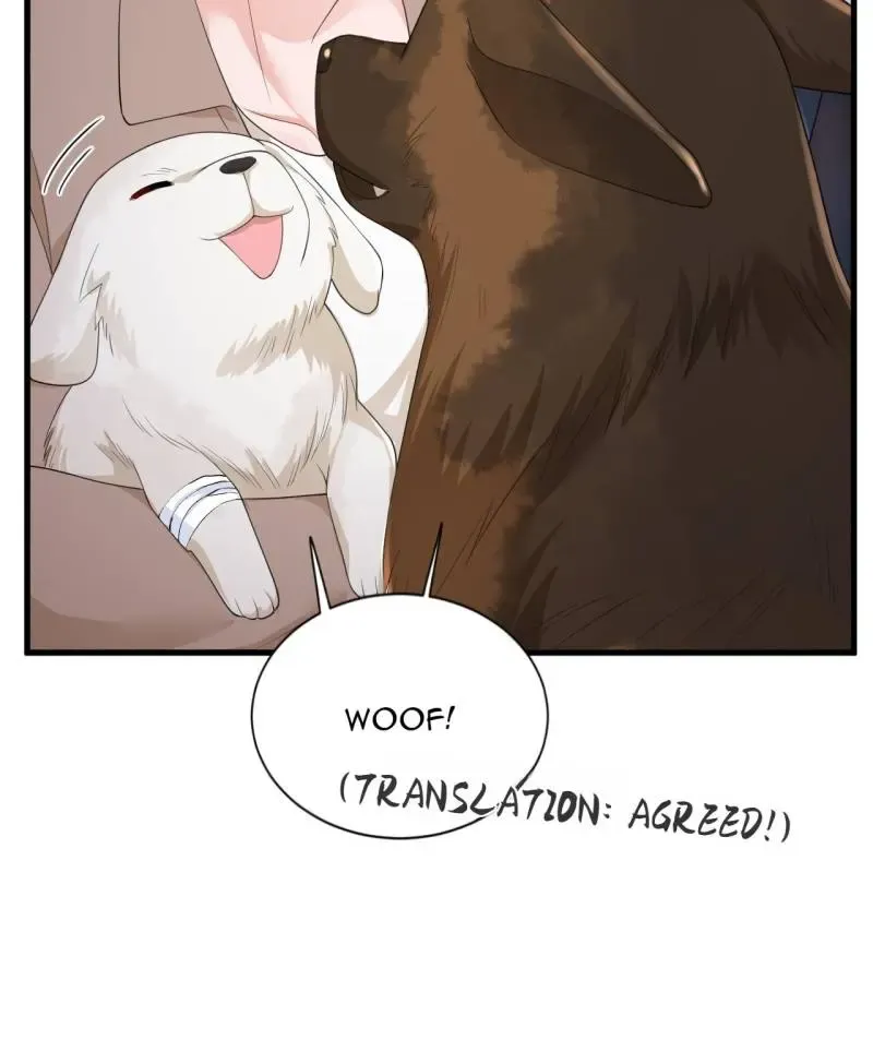 Whispers of the Devil Chapter 167 Online - página 36