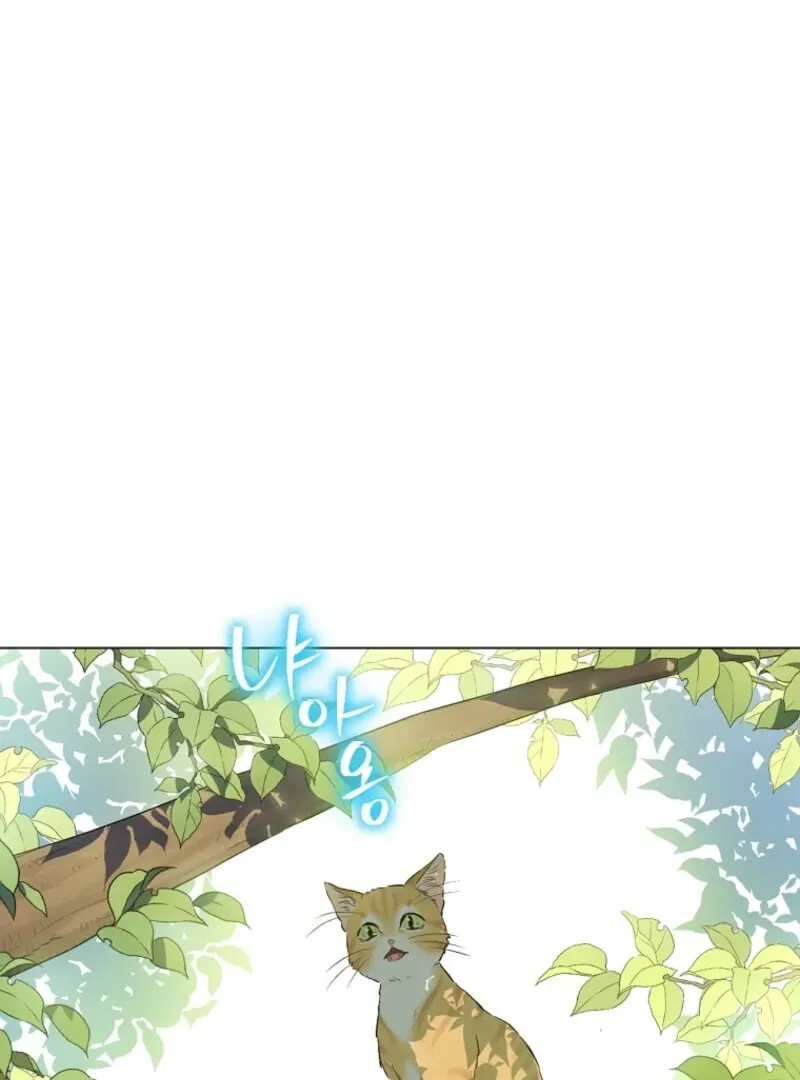 Who Made Me A Princess Chapter 133 Online - página 3