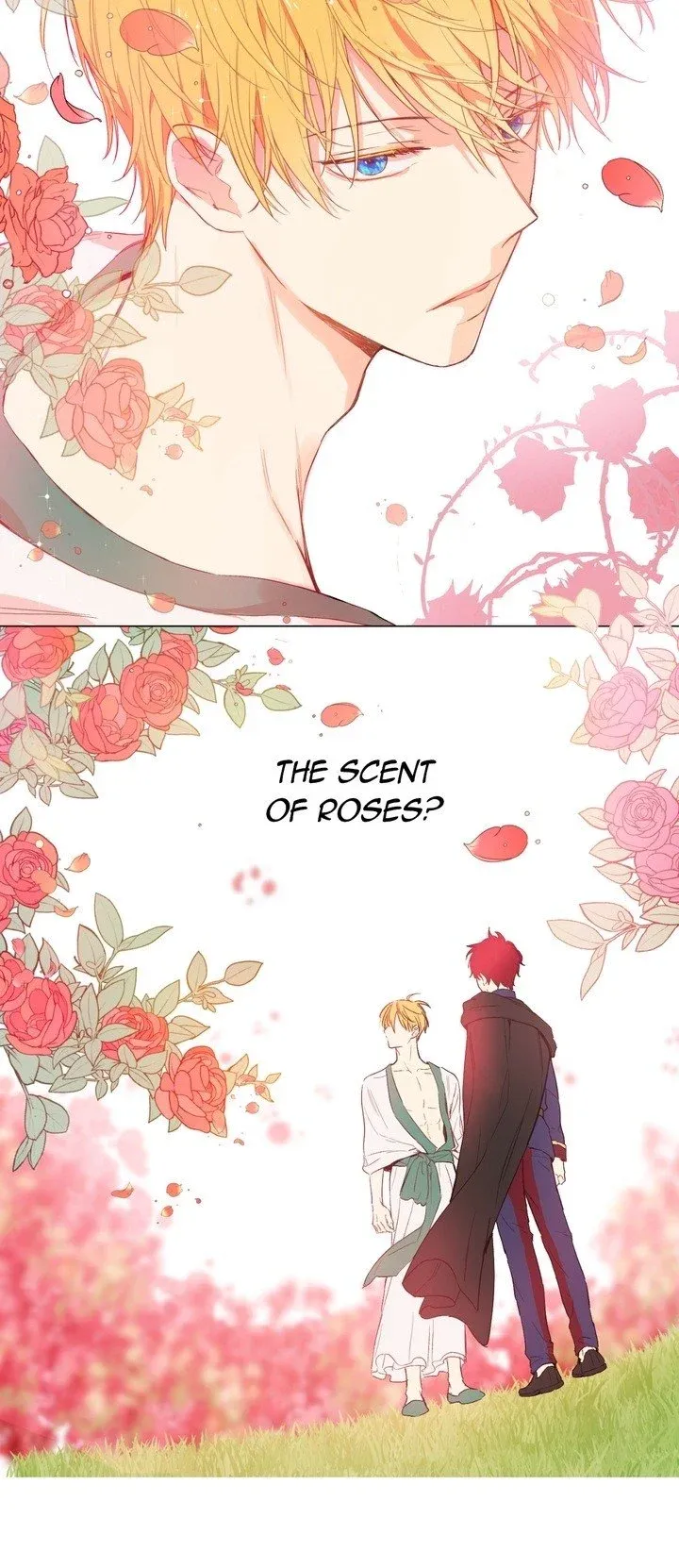Who Made Me A Princess Chapter 48 Online - página 20