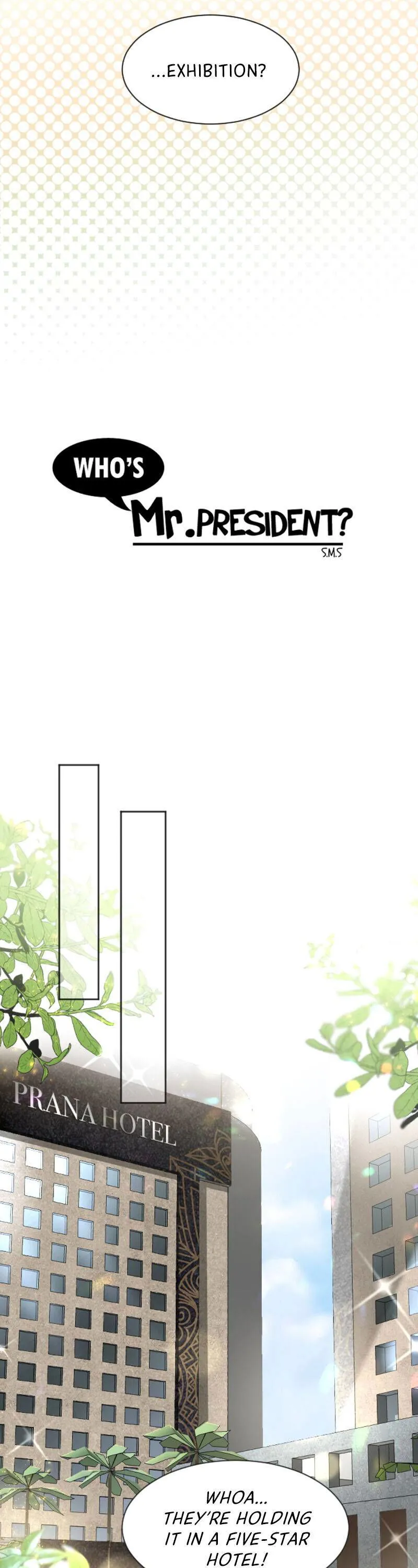 Who's Mr. President? Chapter 13 Online - página 11