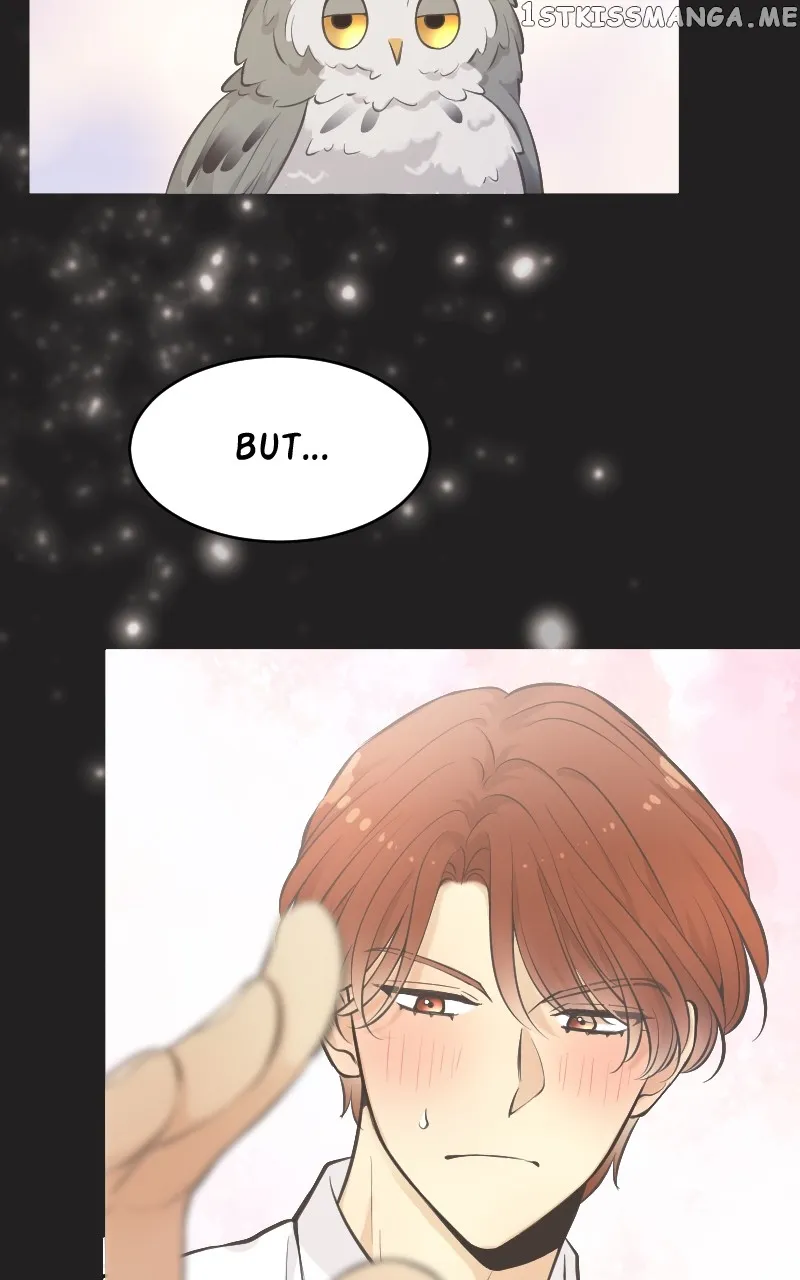 Who's Mr. President? Chapter 55 Online - página 19