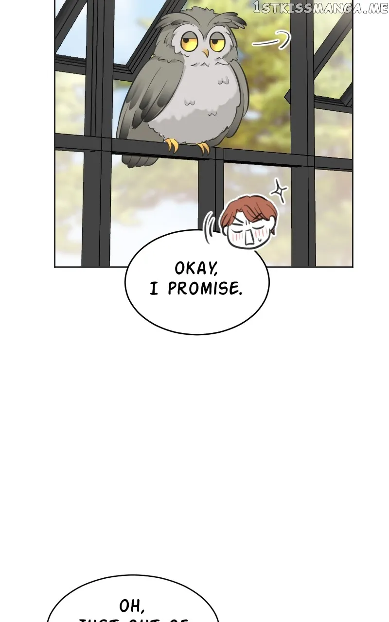 Who's Mr. President? Chapter 56 Online - página 54