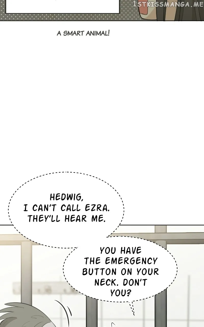 Who's Mr. President? Chapter 64 Online - página 66