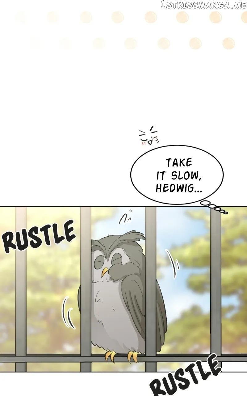 Who's Mr. President? Chapter 64 Online - página 68